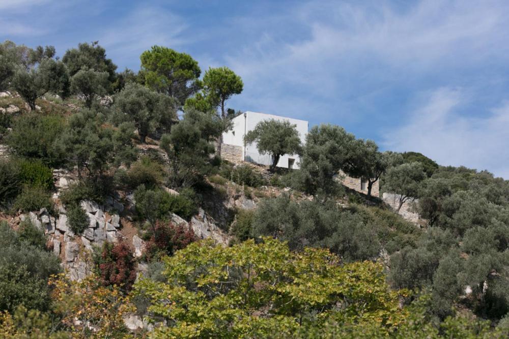 הוילה Moni Evaggelistrias House Λ מראה חיצוני תמונה