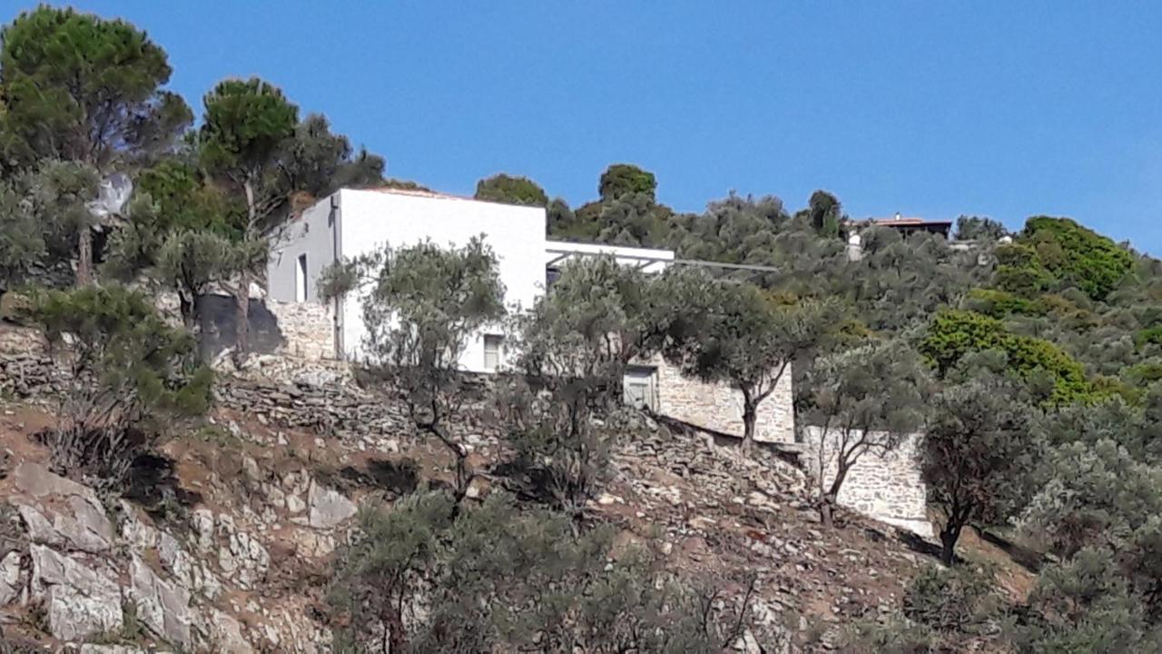 הוילה Moni Evaggelistrias House Λ מראה חיצוני תמונה