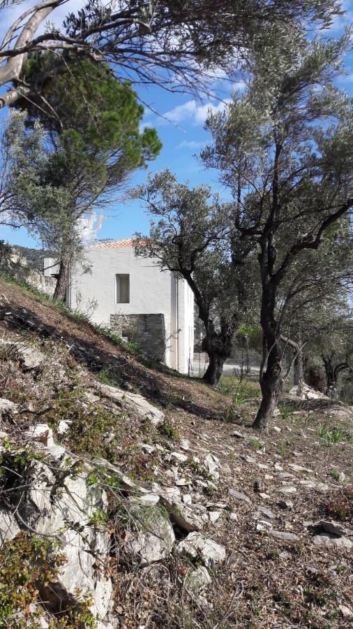 הוילה Moni Evaggelistrias House Λ מראה חיצוני תמונה