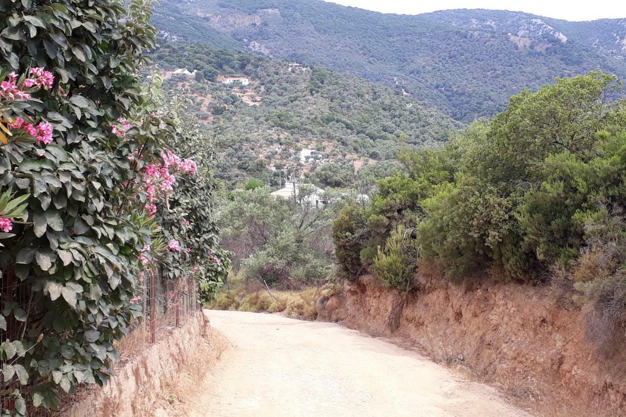 הוילה Moni Evaggelistrias House Λ מראה חיצוני תמונה